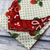 Raspberry Picnic