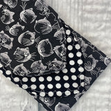 Here Black Kitty Kitty