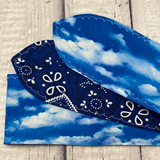 Blue Skies Ahead