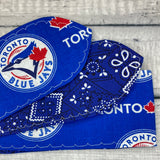 Toronto Blue Jays