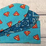 It’s a Bird, It’s a Plane, It’s Superman