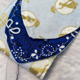 Disney's Mary Poppins