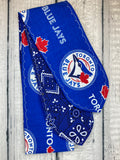 Toronto Blue Jays