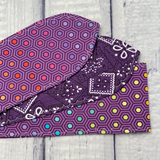 Rainbow Hexagon - Purple