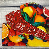 PinUps by Gracie - Now with Real Fruit
