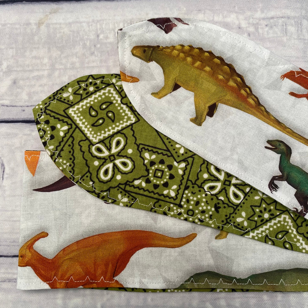 Origami Dinosaurs